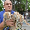 Јагодински зоолошки врт добио нове становнике