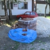 Средствима локалне самоуправе комплетно сређивање Дома пензионера