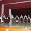 Основана Асоцијација културно уметничких друштава са територије града Јагодина